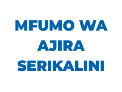 Ajira Portal – Mfumo wa Ajira Serikalini