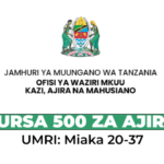 Fursa 500 za Ajira kwa Madereva Pikipiki UAE (2026)