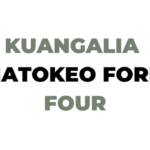 Jinsi ya Kuangalia Matokeo ya Kidato cha Nne 2025-26 NECTA