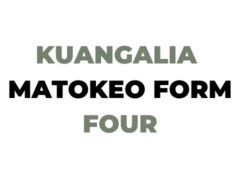 Jinsi ya Kuangalia Matokeo ya Kidato cha Nne 2025-26 NECTA