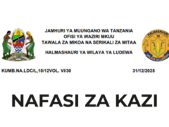 Nafasi za Kazi Wilaya ya Ludewa 2025