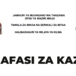 Nafasi za Kazi Wilaya ya Kilwa 2025