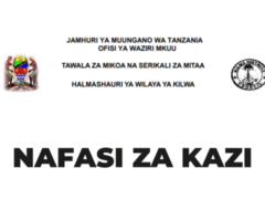 Nafasi za Kazi Wilaya ya Kilwa 2025