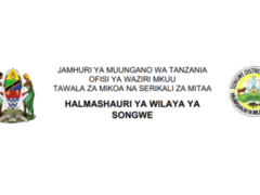 Nafasi za Kazi Wilaya ya Songwe 2025