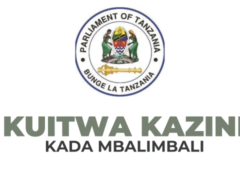 Walioitwa Kazini Bunge la Tanzania 2025
