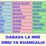 Matokeo ya Darasa la Nne 2024-2025 NECTA