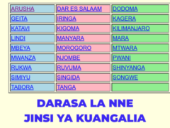 Matokeo ya Darasa la Nne 2024-2025 NECTA