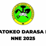 Matokeo ya Darasa la Nne 2025 NECTA Mikoa Yote Hapa