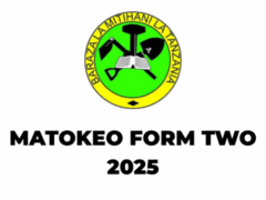 Matokeo ya Form Two 2025 NECTA Haya Hapa Yote Tanzania