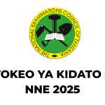 Matokeo ya Kidato cha Nne 2025 CSEE