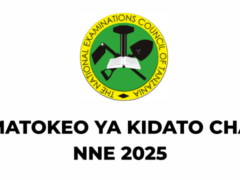 Matokeo ya Kidato cha Nne 2025 CSEE