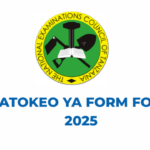 NECTA Matokeo ya Form Four 2026