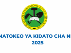 NECTA Matokeo ya Kidato cha Nne 2025