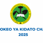 NECTA Matokeo ya Kidato cha Nne 2025 CSEE
