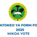 NECTA Matokeo ya Kidato cha Nne 2025 Mikoa Yote