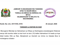 Nafasi za Kazi Wilaya ya Nachingwea 2026