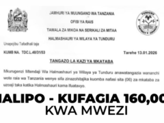 Nafasi za Kazi za Mkataba Wilaya ya Tunduru 2026