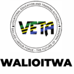 Walioitwa Kwenye Usaili VETA 2026