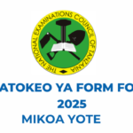 Matokeo Form four 2025 NECTA Shule Zote PDF