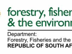 DFFE: Forest Service Aid and Housekeeping Executive Vacancies 2026