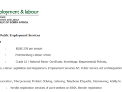 Department of Employment and Labour Vacancies: Client Service Officers x4